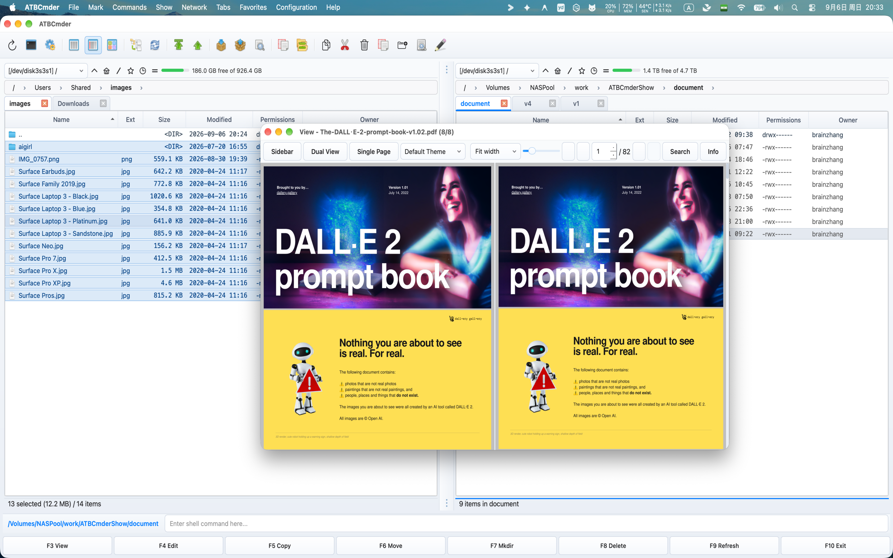 PDF Viewer