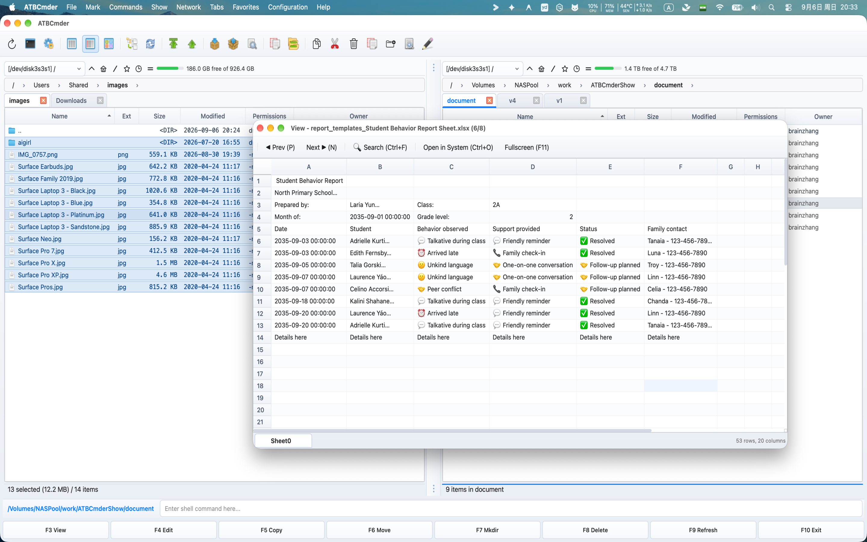Excel Spreadsheet and Data Preview
